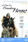 A Time For Drunken Horses